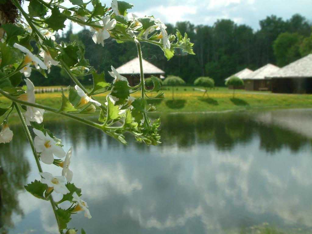 Recreation Center Bruveri ซีกูลดา ห้อง รูปภาพ